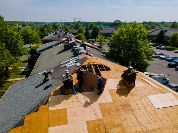 Best Flat Roof Repair Services  in Harrisburg, IL