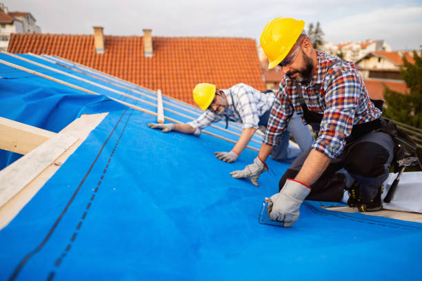 Best Storm Damage Roof Repair  in Harrisburg, IL