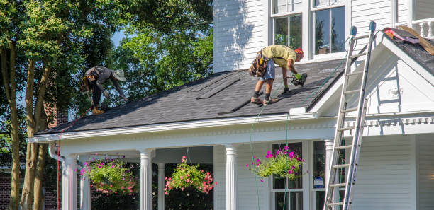 Best Roof Gutter Cleaning  in Harrisburg, IL